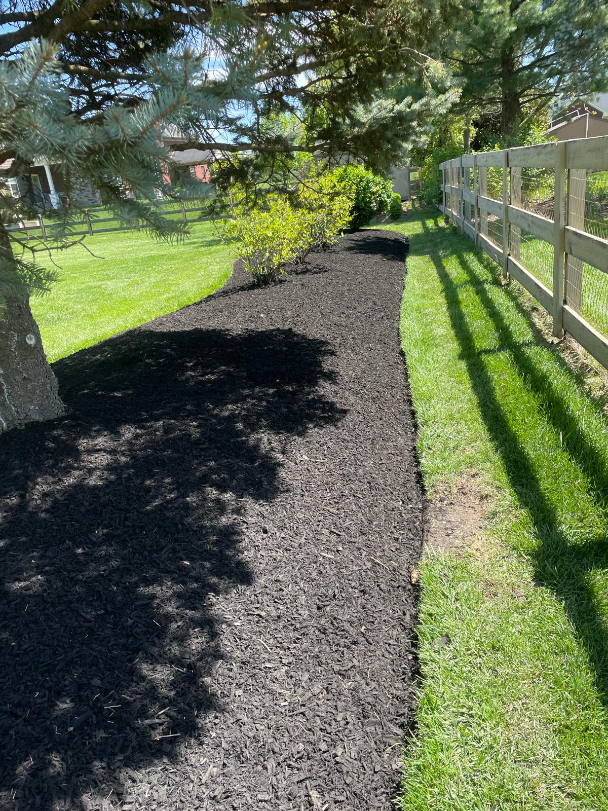 Lawn Care in Cincinnati OH
